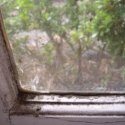 Dehumidify to Stop Condensation causing mould on windows with solar dehumidification