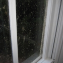 Stop condensation, prevent mould on windows and ensure you have a dry home